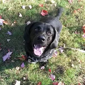 Meet your Posher, Zoe